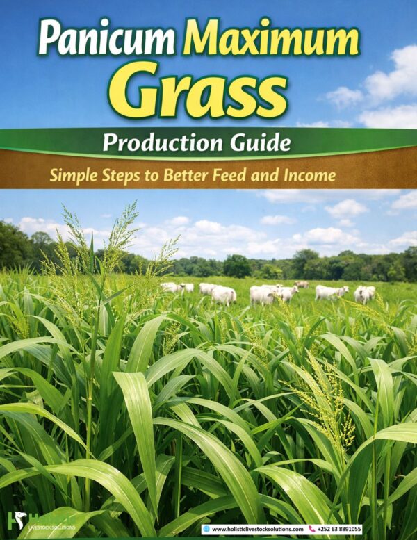 Panicum Maximum Grass Production Guide